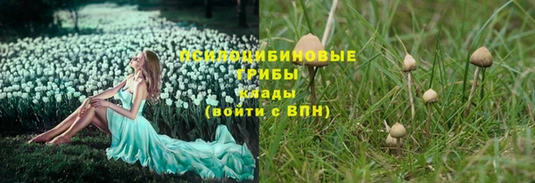 МДПВ Алзамай