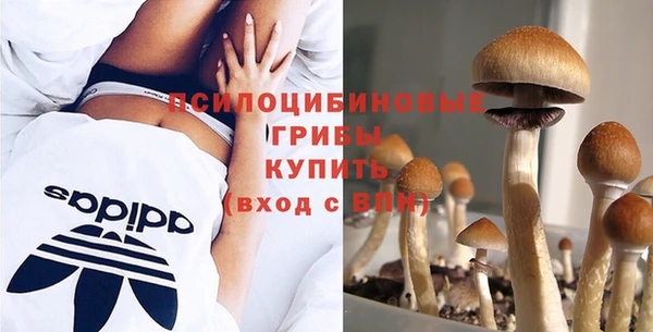 МДПВ Алексин