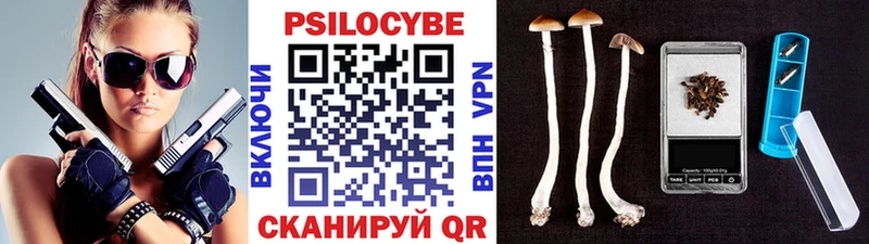 Псилоцибиновые грибы Magic Shrooms  нарко площадка наркотические препараты  Александровское  дарнет шоп 